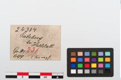 Etiketten zu Bronzeriemendurchzug (NHMW-PRAE-024384)